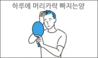 하루에 머리카락 빠지는양