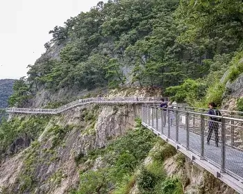 원주 소금산 그랜드밸리 출렁다리_8