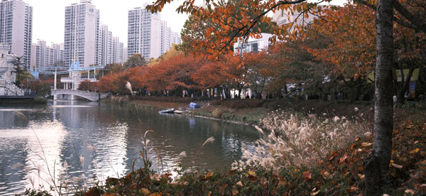호수와 단풍이 만나는 순간 : 전국 가을 포토 명소 총정리_석촌호수공원