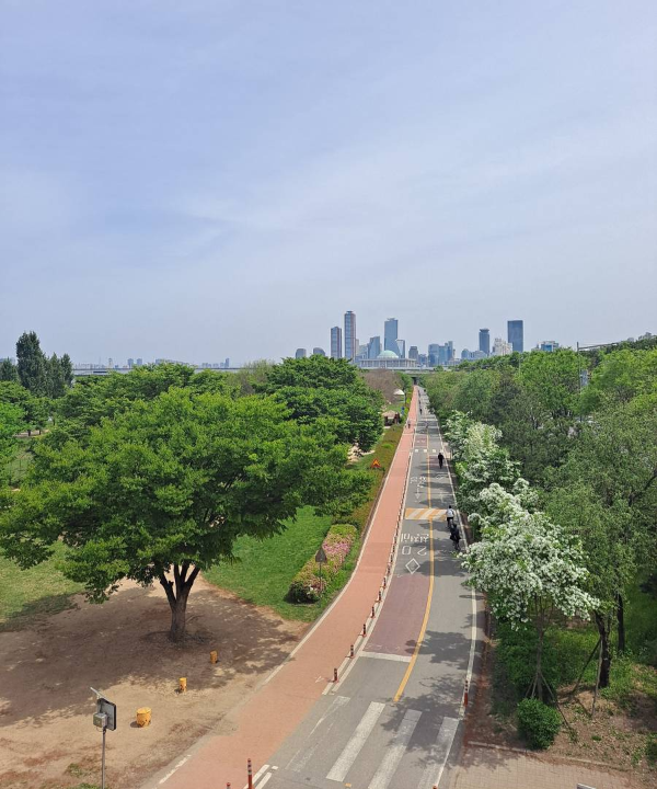 양화 한강공원 풍경