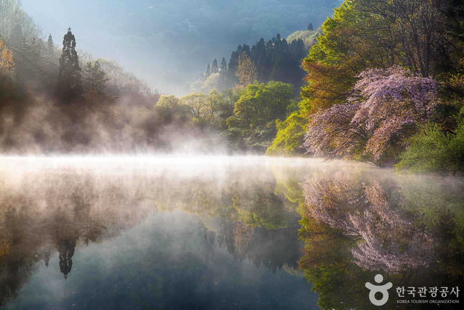 화순 세량지