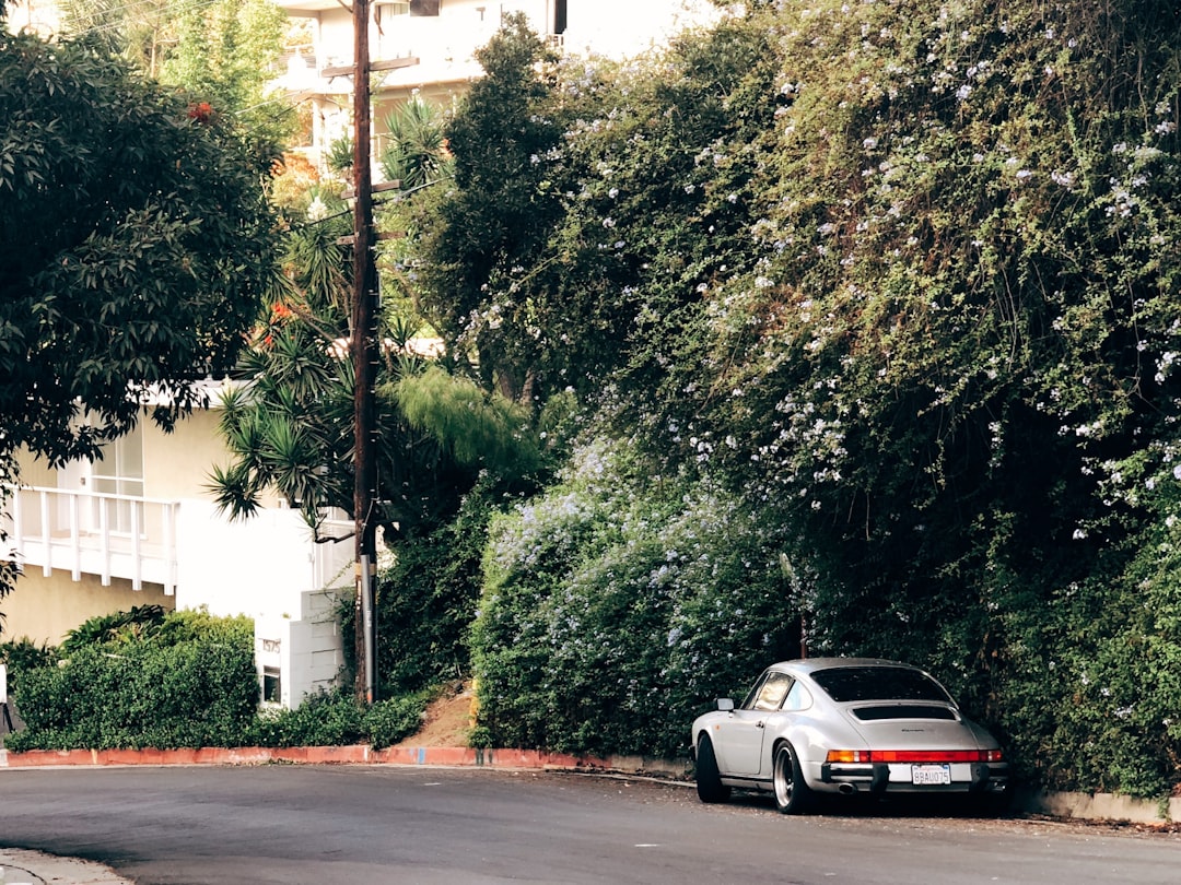 Classic