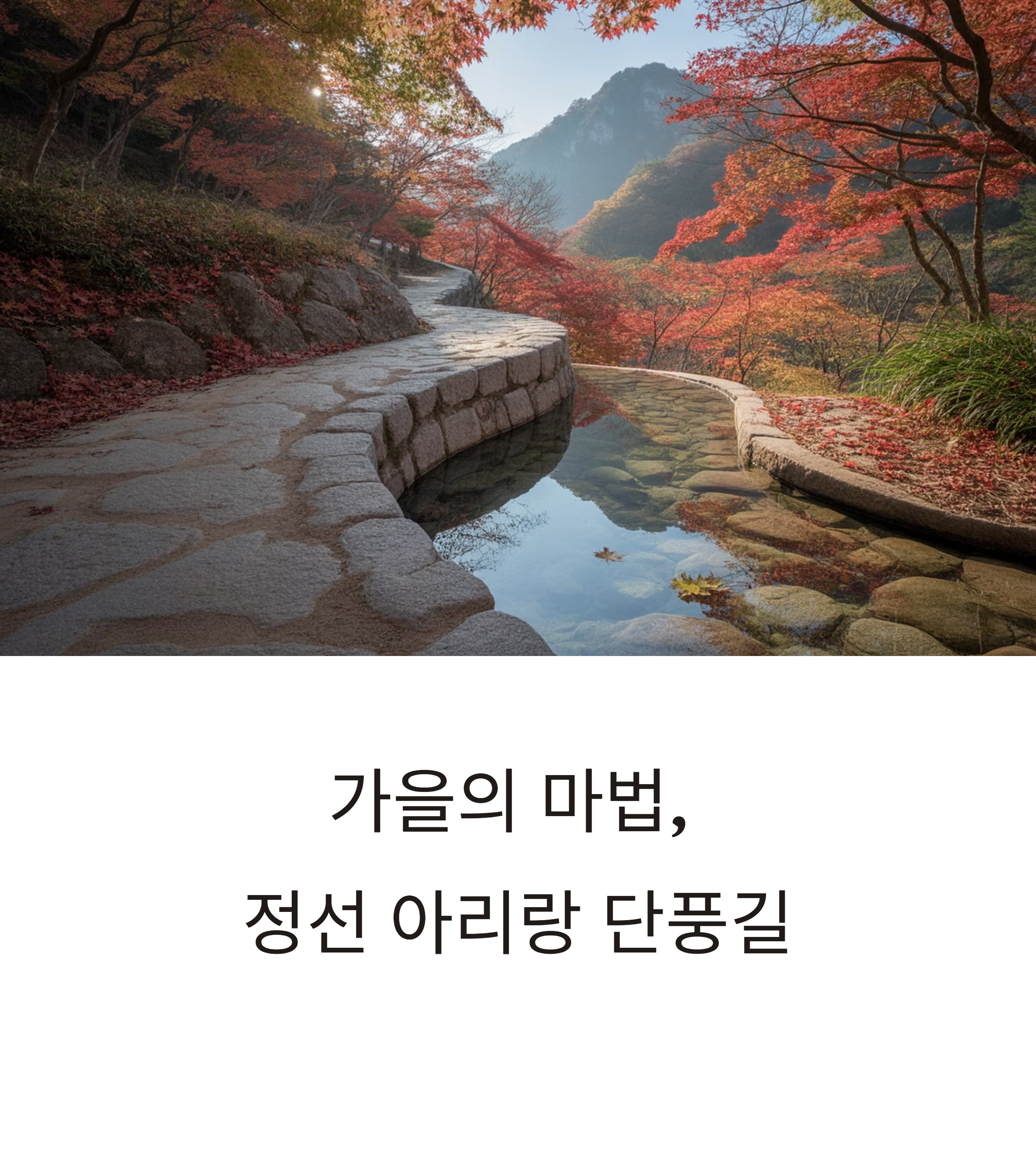 정선 아리랑 단풍길
