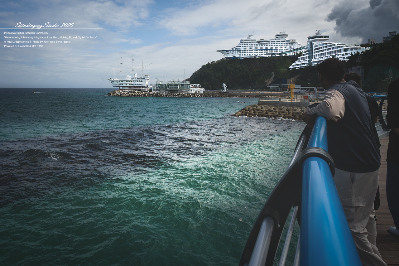 #강릉 #정동진 #바다 #해변 #배