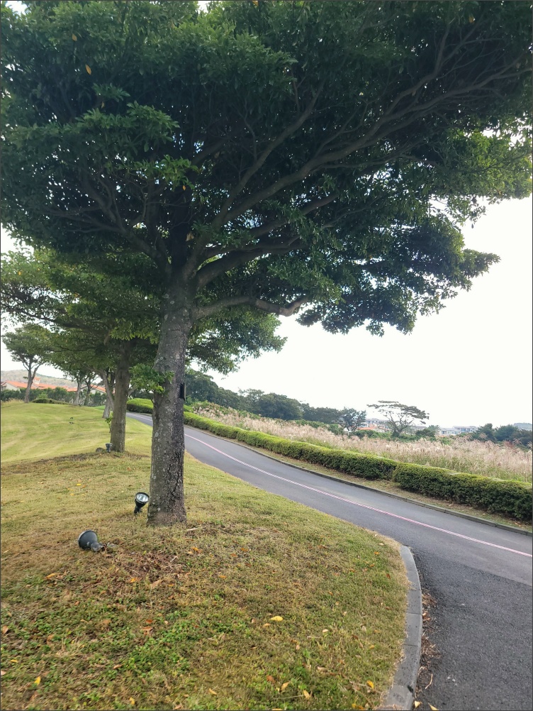 제주아덴힐CC-라운딩