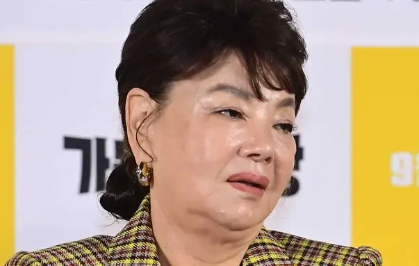 김수미