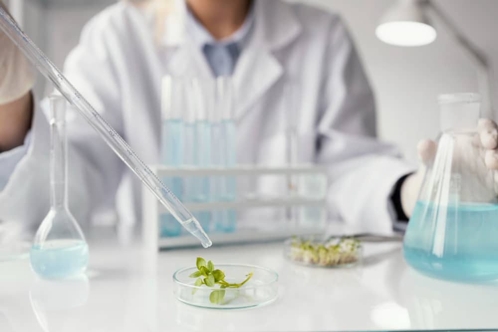 식물 유래 바이오매스 촉매로 탈탄소화된 화학공정 (3)