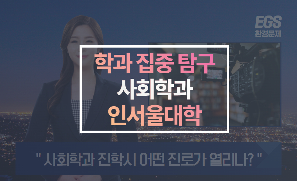 인서울대학 사회학과