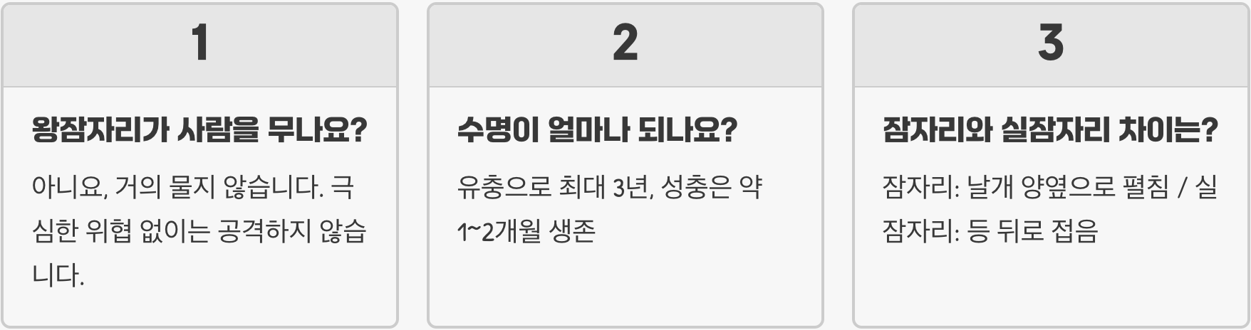 하늘의 제왕, 왕잠자리의 모든 것