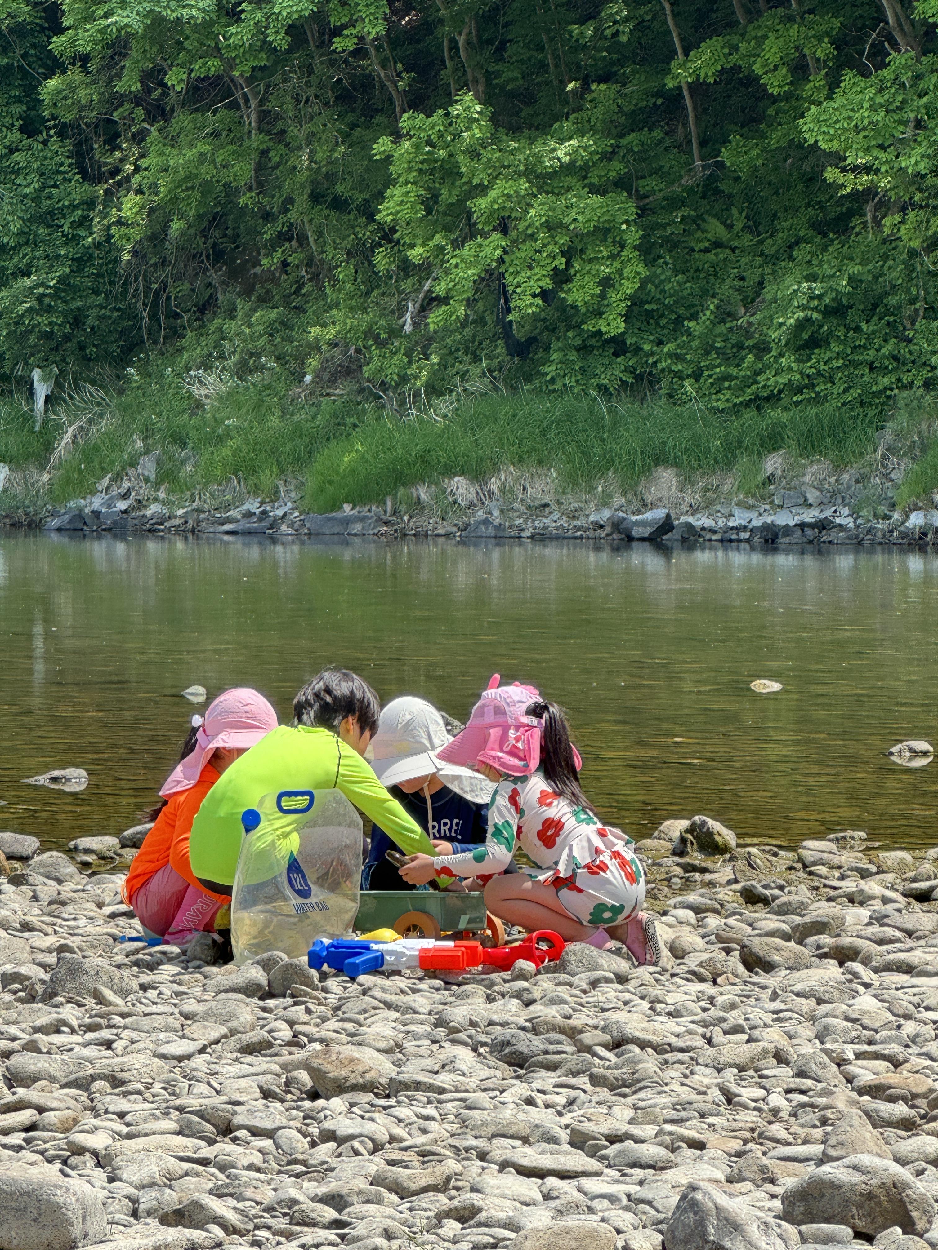 놀기 좋은 홍천강에서 아이들이 놀고 있는 사진