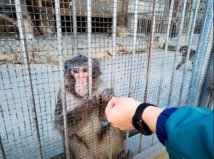 생방송투데이 동물농장 강릉