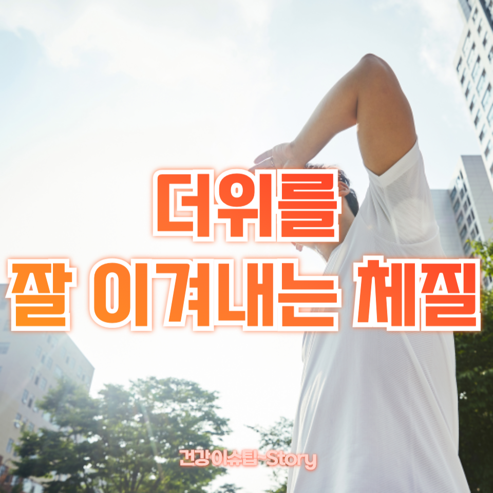 더위를 잘 이겨내는 체질