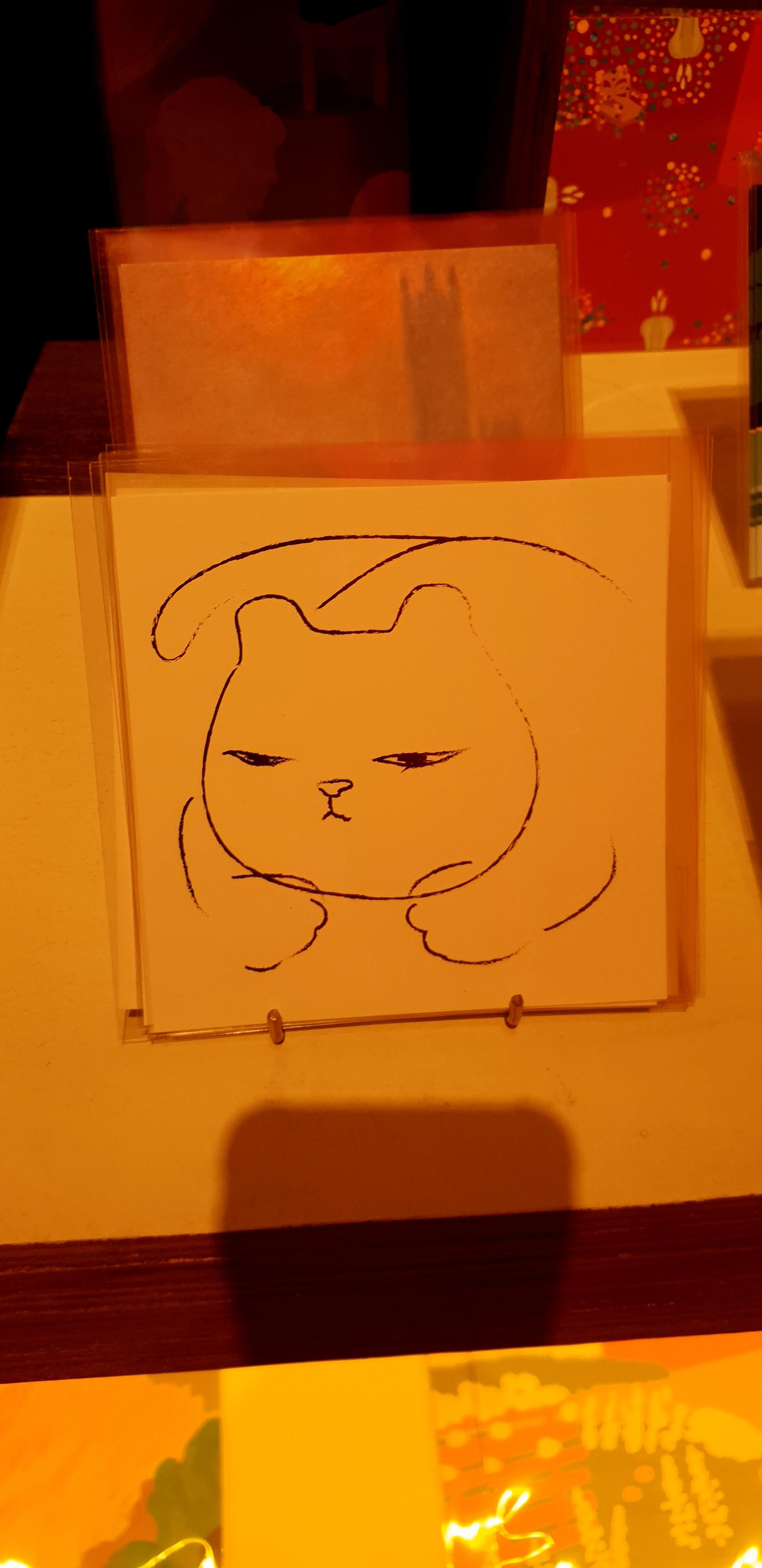 고양이3