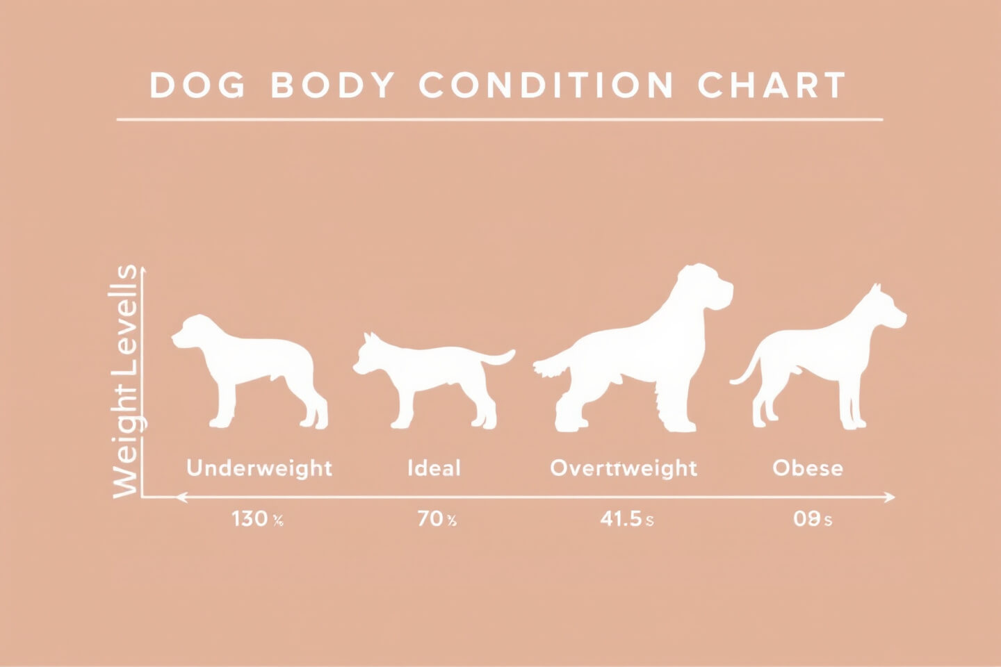 dog body condition chart showing different weight levels