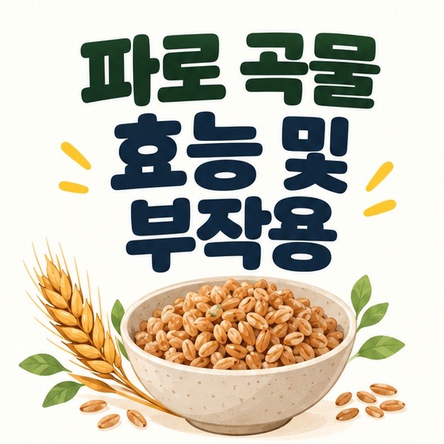 파로 곡물 효능 및 부작용 제목과 밀 이삭 및 곡물 그릇 그림