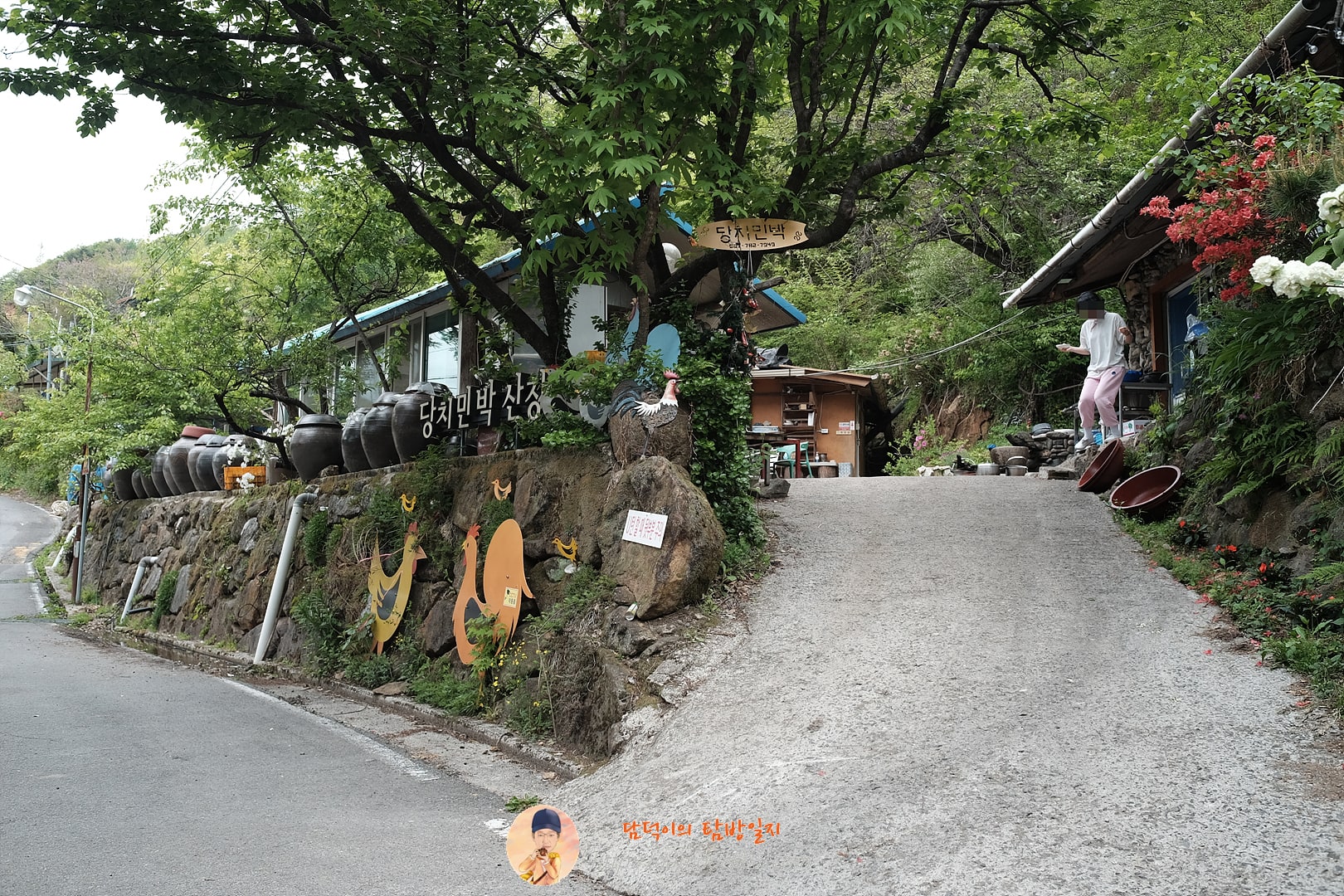 당치민박산장