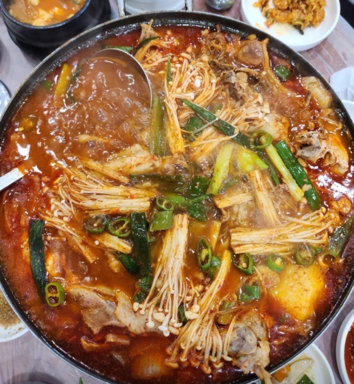 둥글레본가