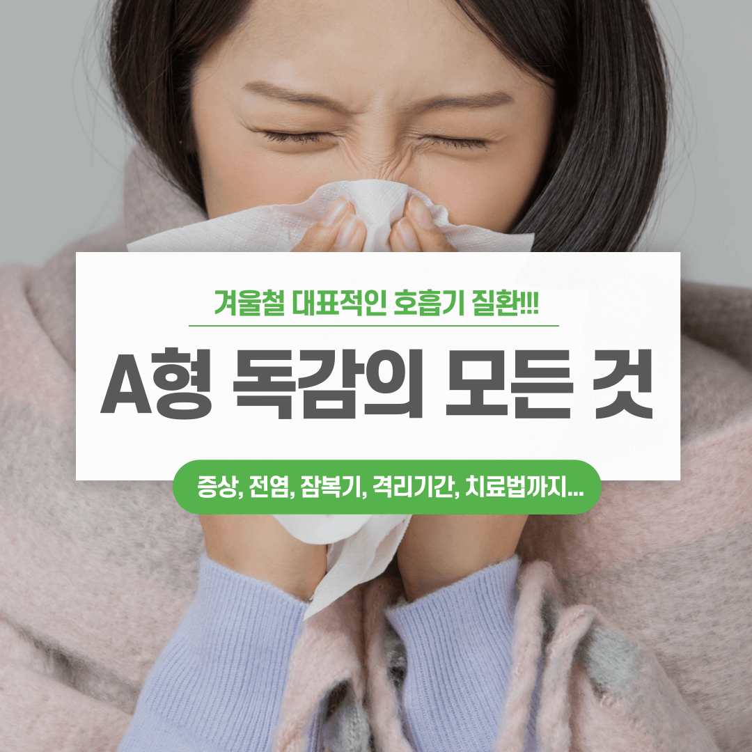 A형 독감의 모든 것 : 증상, 전염, 잠복기, 격리기간, 치료법 총정리