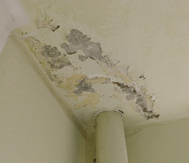 누수 원인이 공용 부분인 경우