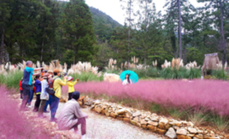 해남 포레스트 수목원