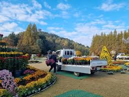 청남대 관람 예약