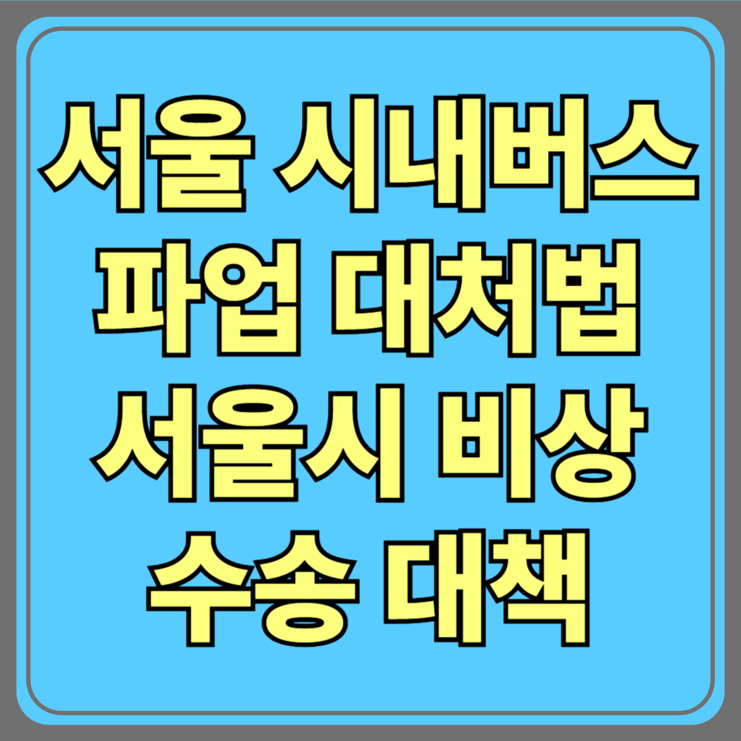 서울 시내버스 파업, 시민 대처법과 서울시 비상수송대책 총정리