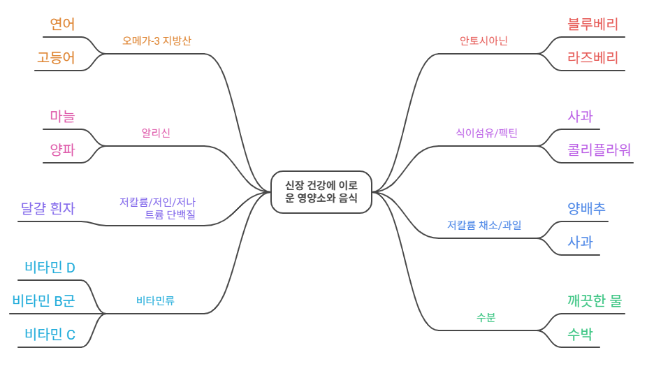 신장 건강에 이로운 영양소와 음식