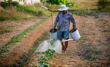 농민수당&amp;#44; 농어민수당&amp;#44; 농민기본소득&amp;#44; 농민공익수당 신청자격&amp;#44; 기간&amp;#44; 방법