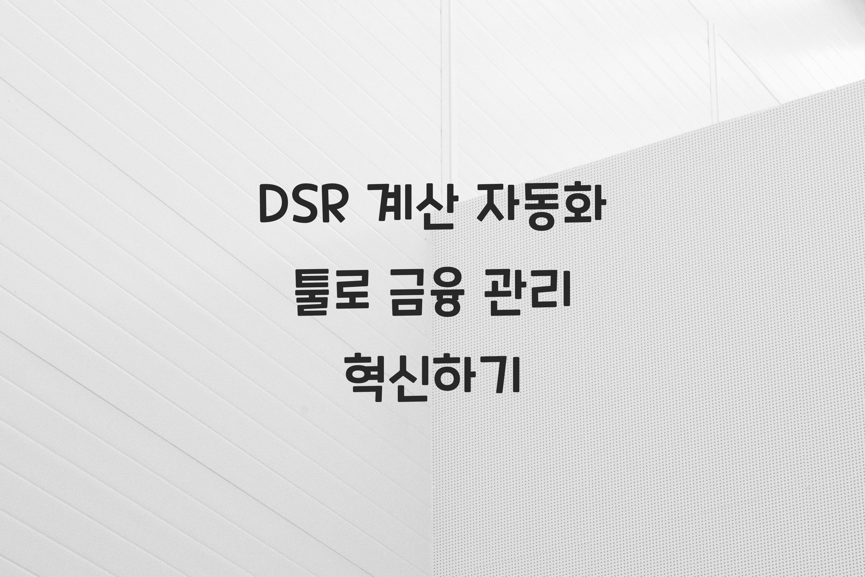 DSR 계산 자동화 툴