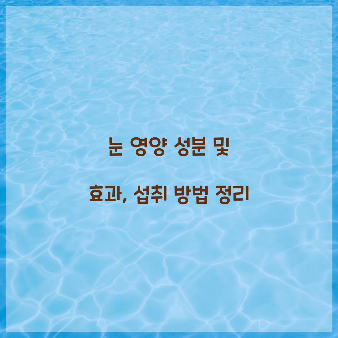 눈 영양 성분