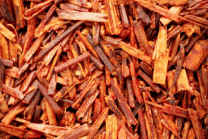 루이보스티 효능09