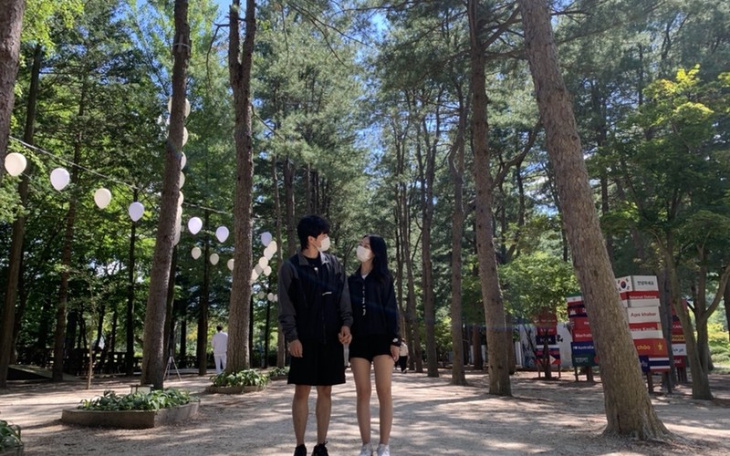 가평 춘천 여행 @ 남이섬 완벽 가이드: 입장료, 주차 할인 비교 및 필