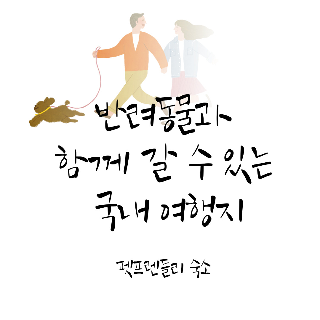 반려동물과 함께 갈 수 있는 국내 여행지 &amp; 펫프렌들리 숙소