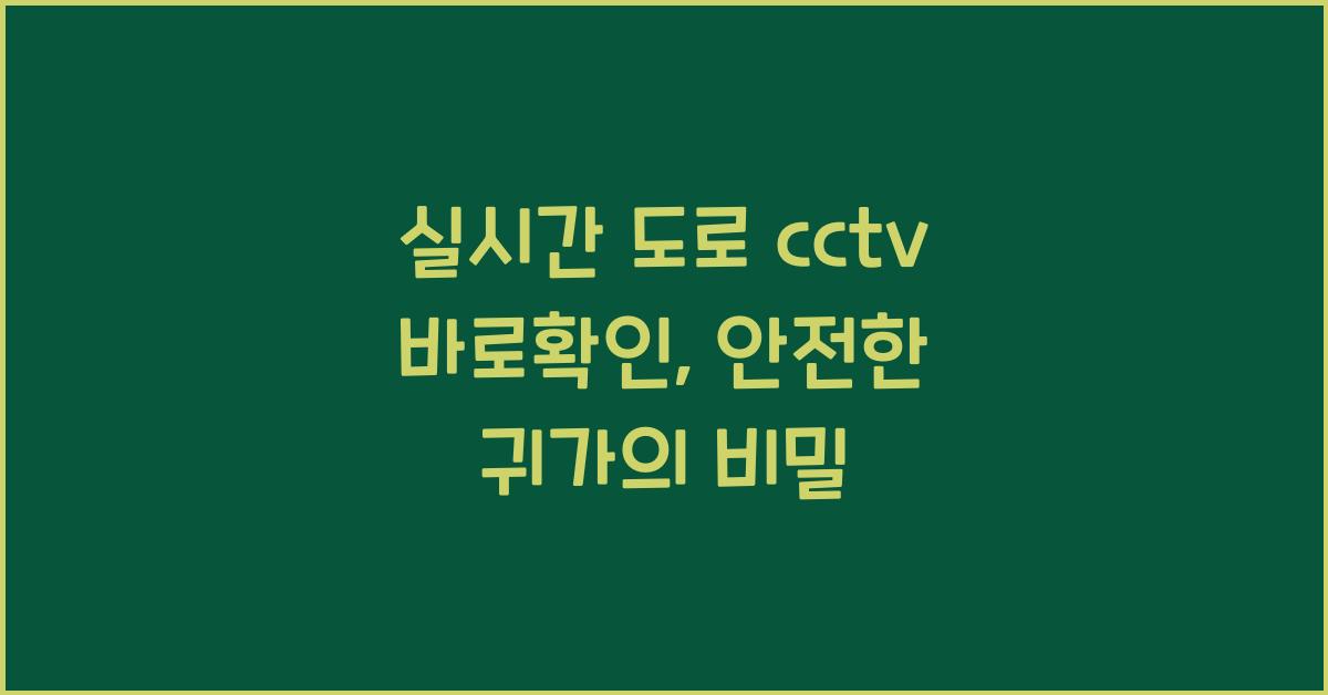 실시간 도로 cctv 바로확인