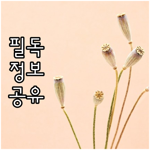 2025 광진구 불소도포 누가 받고 ..