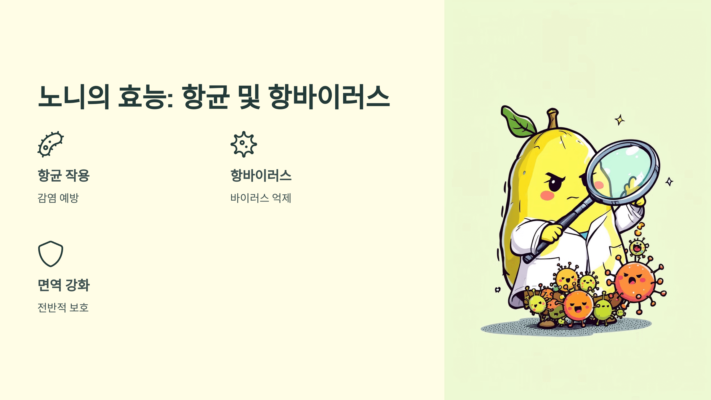 노니 사진입니다.