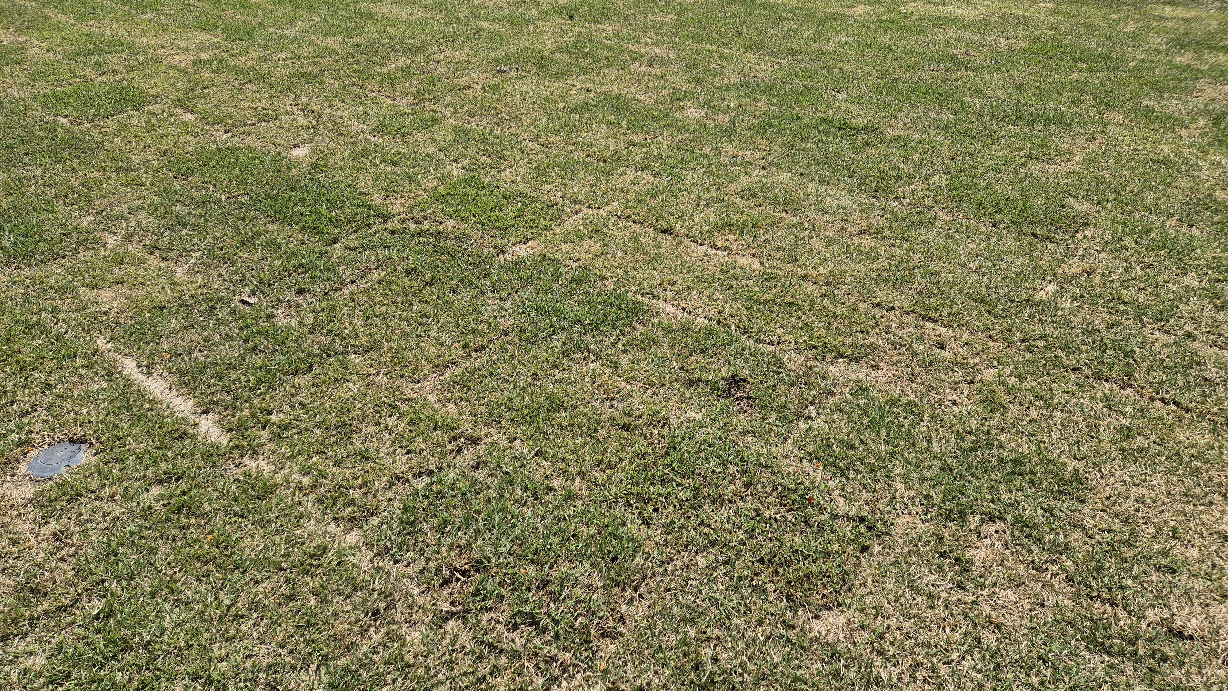 마에스트로cc 라운드 후기