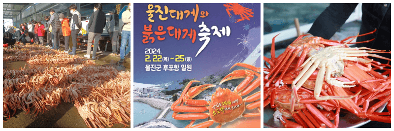 울진대게와 붉은대게 축제 포토&#44; 포스터