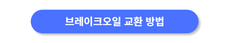 버튼