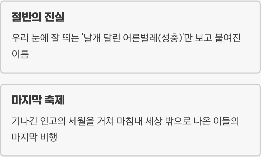 하루살이 인생&amp;#44; 슬픈 오해
