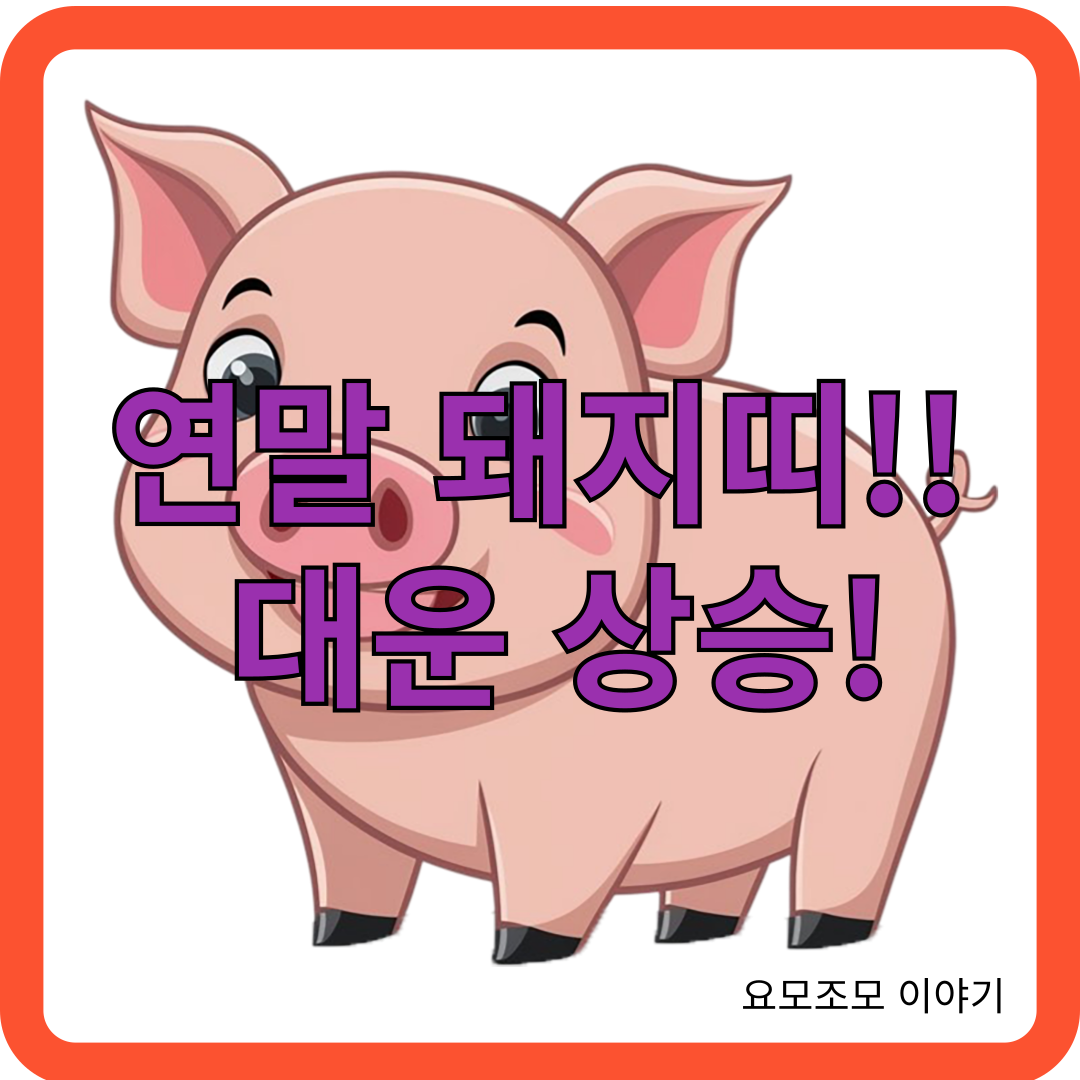 돼지띠-대운-운세