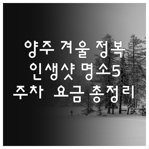 양주 겨울 명소 TOP 5 입장료 주..
