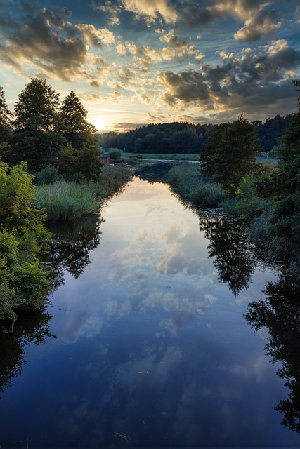 국립자연휴양림 예약 방법