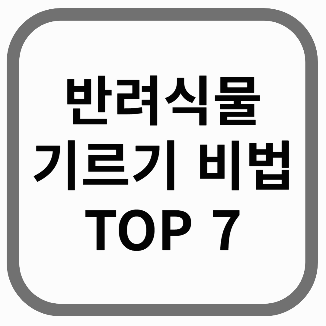 반려식물 기르기 비법 top7