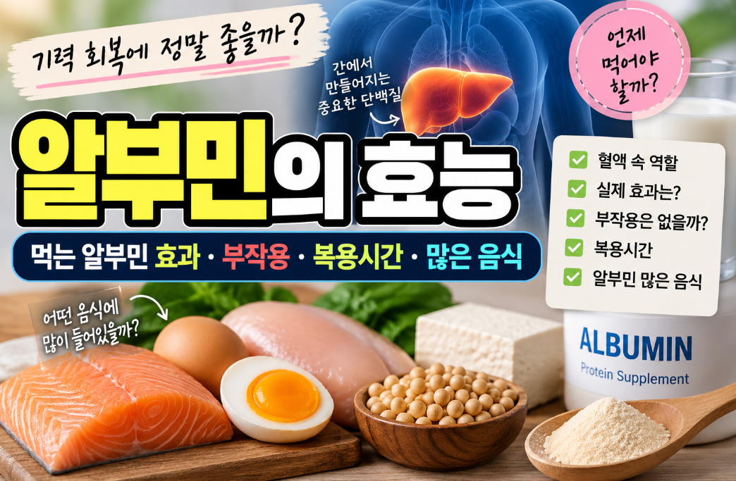 알부민의 효능｜먹는 알부민 효과&middot;부작용&middot;복용시간&middot;많은 음식