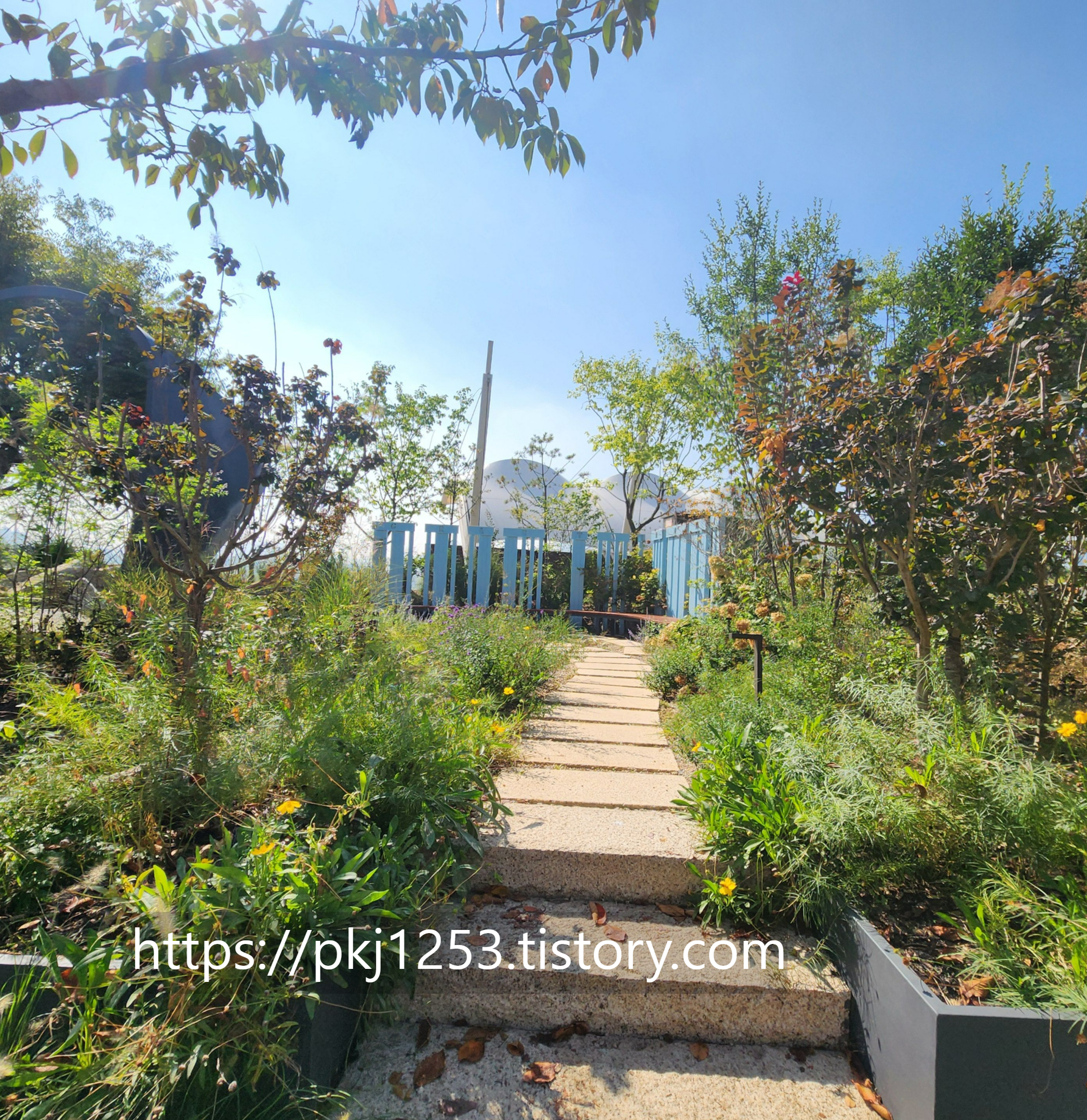 Alt 속성 문제 해결 설명 이미지