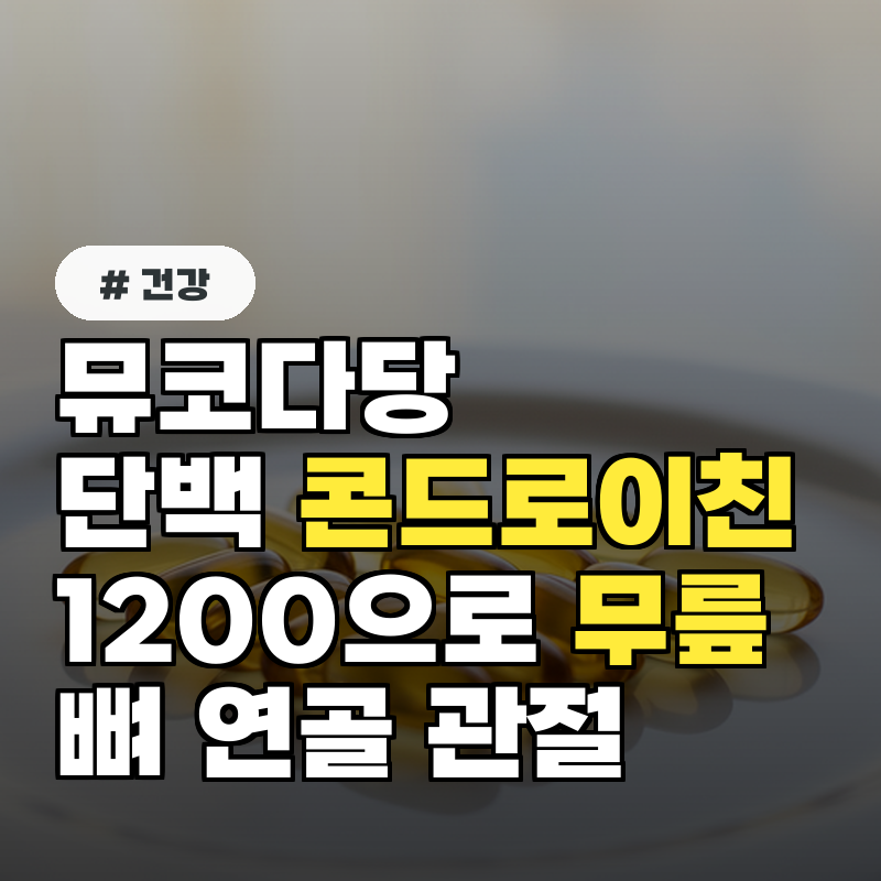 뮤코다당·단백 콘드로이친 1200으로 무릎 뼈·연골·관절을 한 번에!