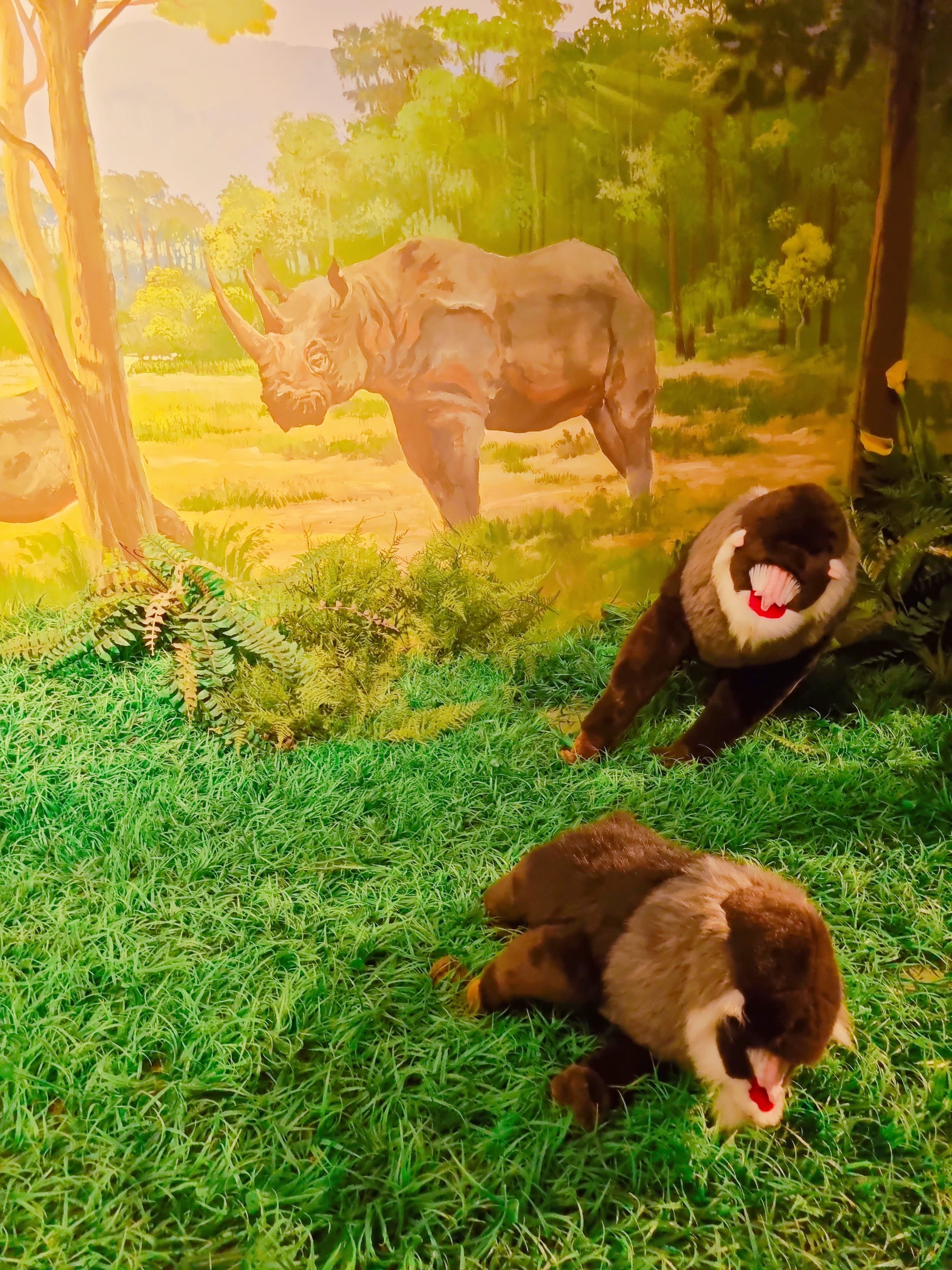 아프리카 박물관