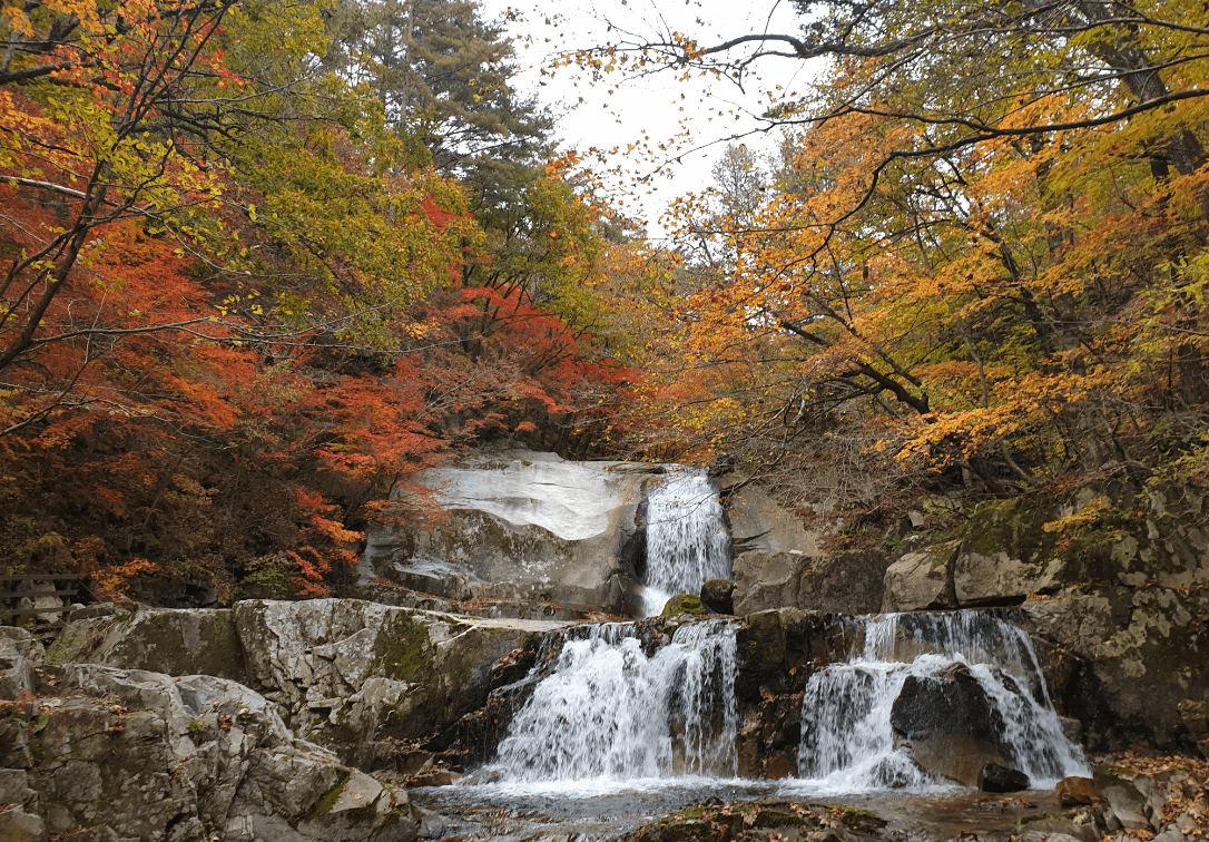 국립 방태산 자연휴양림