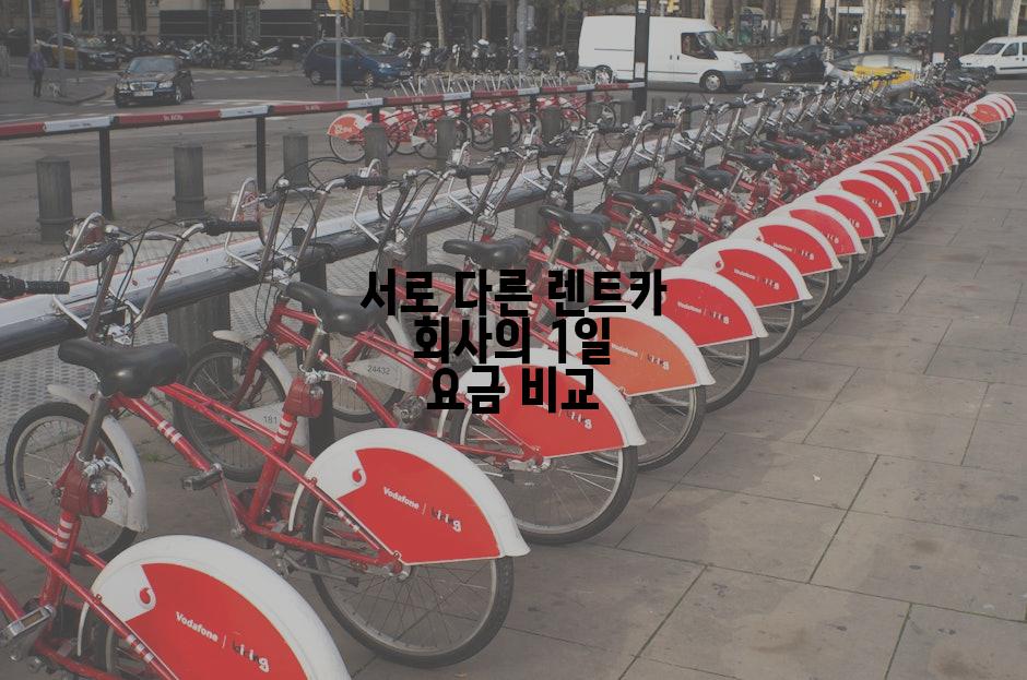 서로 다른 렌트카 회사의 1일 요금 비교